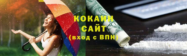 ПСИЛОЦИБИНОВЫЕ ГРИБЫ Горно-Алтайск