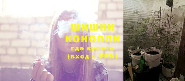 PSILOCYBIN Березники
