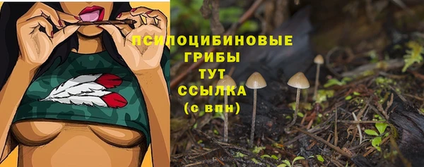 PSILOCYBIN Березники