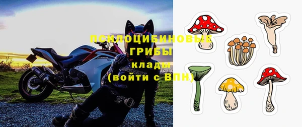 PSILOCYBIN Березники