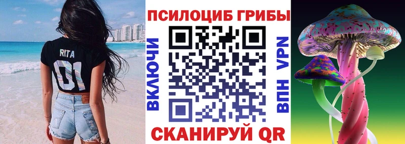Галлюциногенные грибы ЛСД  Жиздра 